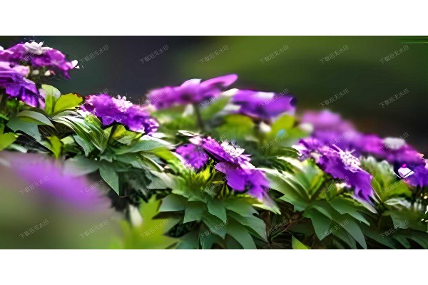 南湖茶香,上门服务,品茗新体验! 南湖茶香,上门服务,品茗新体验!