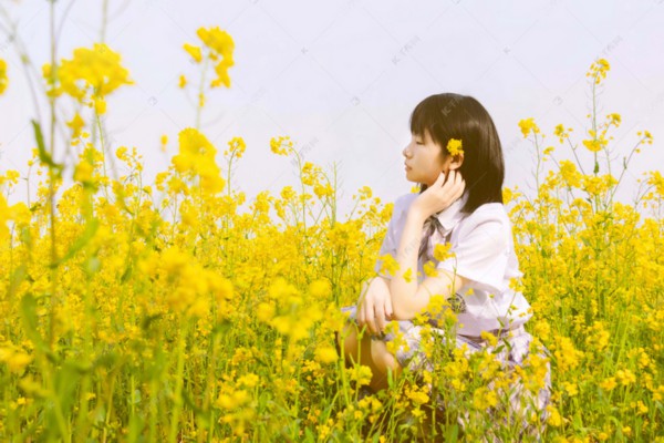 武汉茶友圈必看：茶香四溢，共享养生盛宴